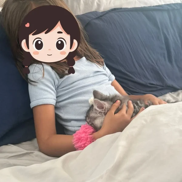 Furever Home Updates Yofi