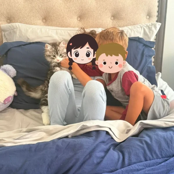 Furever Home Updates Yofi